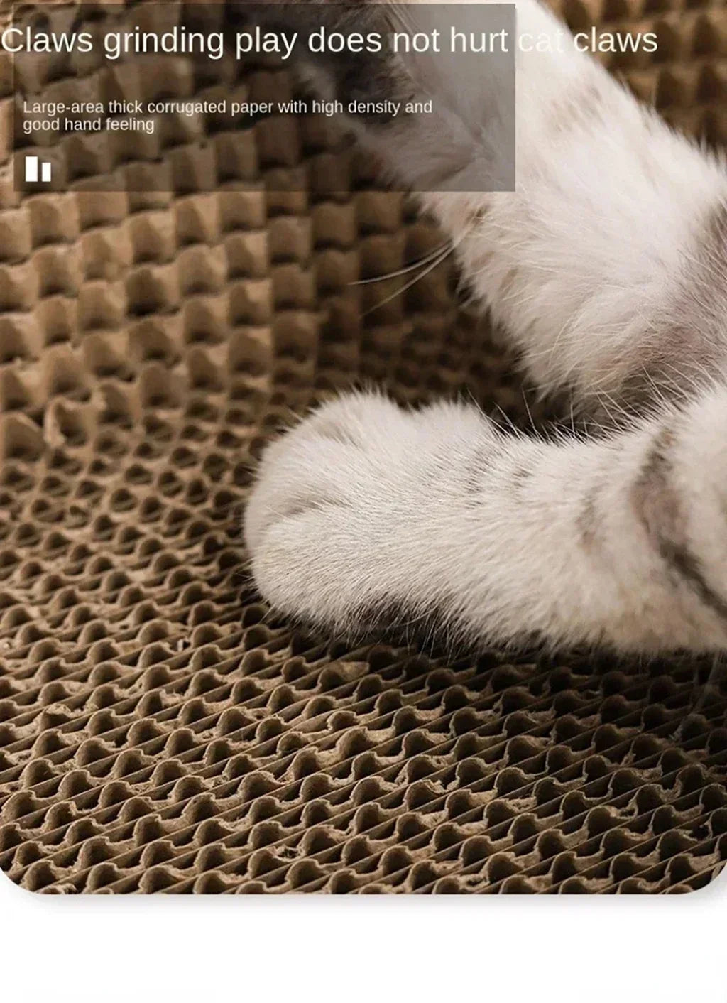 ClawCove™ Scratcher