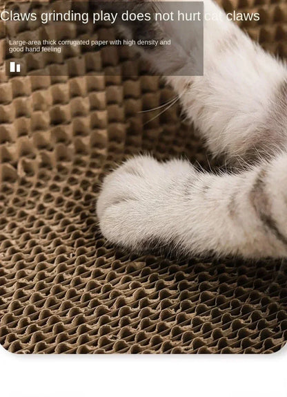 ClawCove™ Scratcher