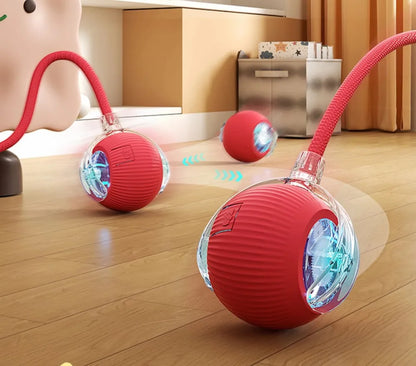 MouseChaser™ Smart Ball