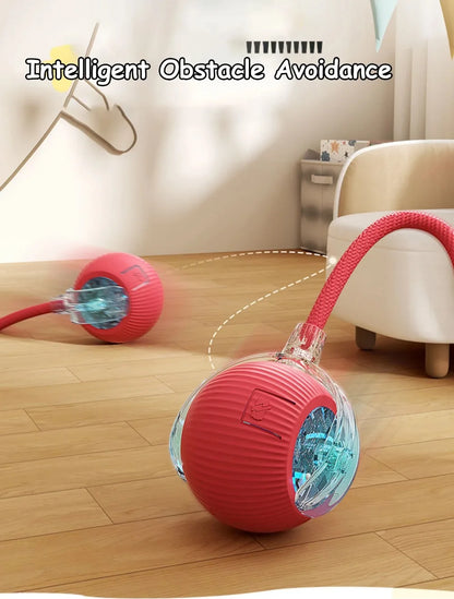 MouseChaser™ Smart Ball