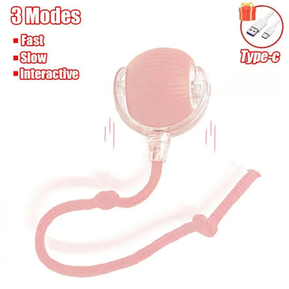 MouseChaser™ Smart Ball