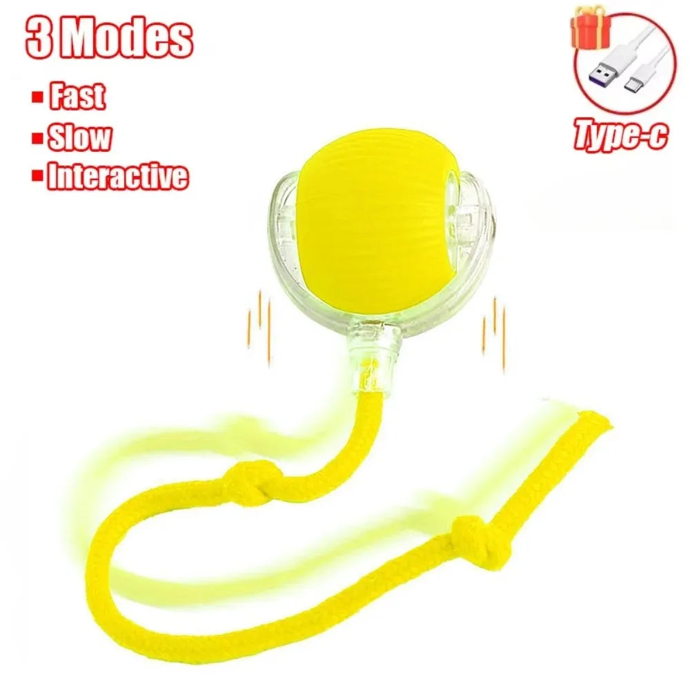 MouseChaser™ Smart Ball