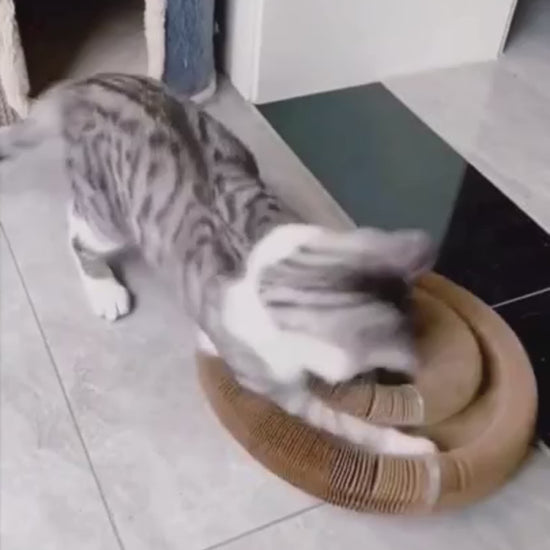 ClawCove™ Fantastic Wheel